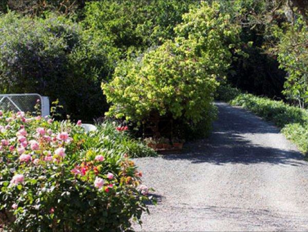 Brown's House Bed & Breakfast - Accommodation Cooktown