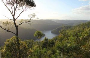 Great North walk - Berowra Valley National Park - Accommodation Cooktown